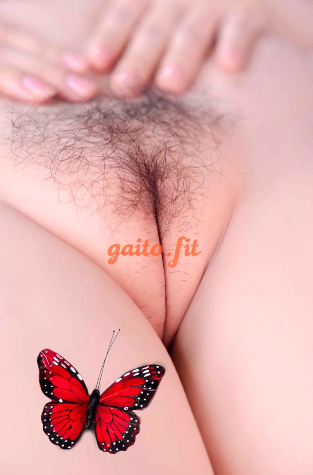 Sully Người – Dáng chuẩn, ảnh thật – Gọi ngay – Quận 12, Sài Gòn – ảnh 19